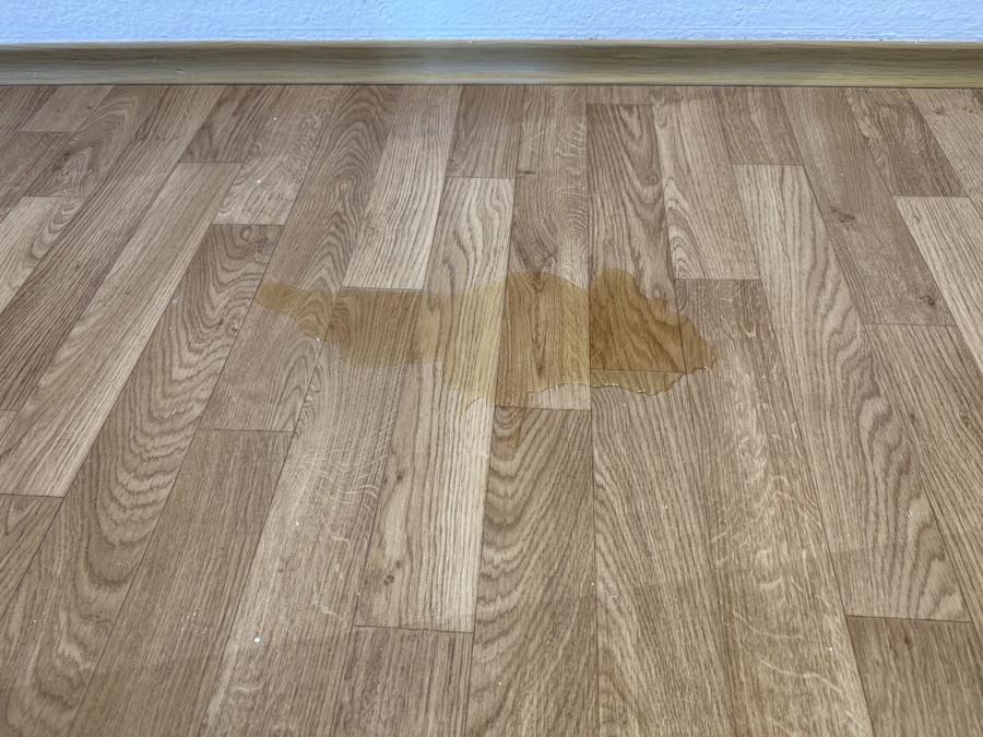 Narwal Freo X10 Pro Flüssigkeit Test