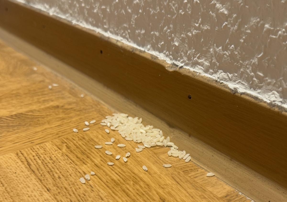 Reis an der Wand nachher