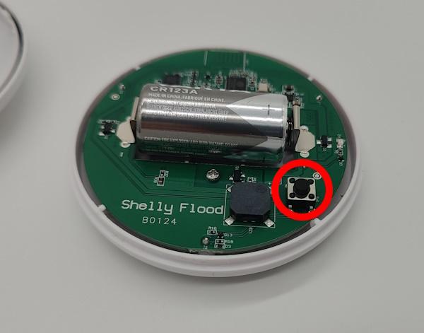 Shelly Flood aufwecken: So geht's