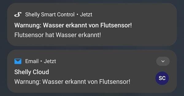 Die Benachrichtigungen des Shelly Flood: App und E-Mail