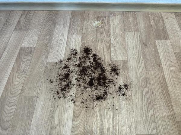 Freo X10 Pro Reis und Kaffee