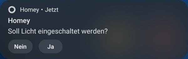 Push-Benachrichtigung von Homey auf dem Hany