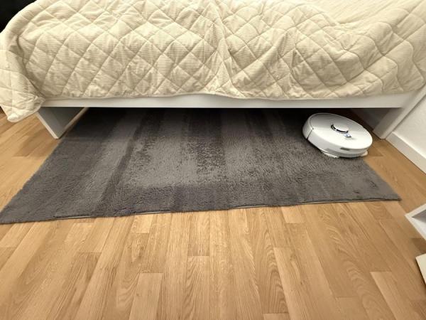 Narwal Freo X10 Pro Teppichreinigung