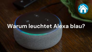 Warum leuchtet Alexa blau?