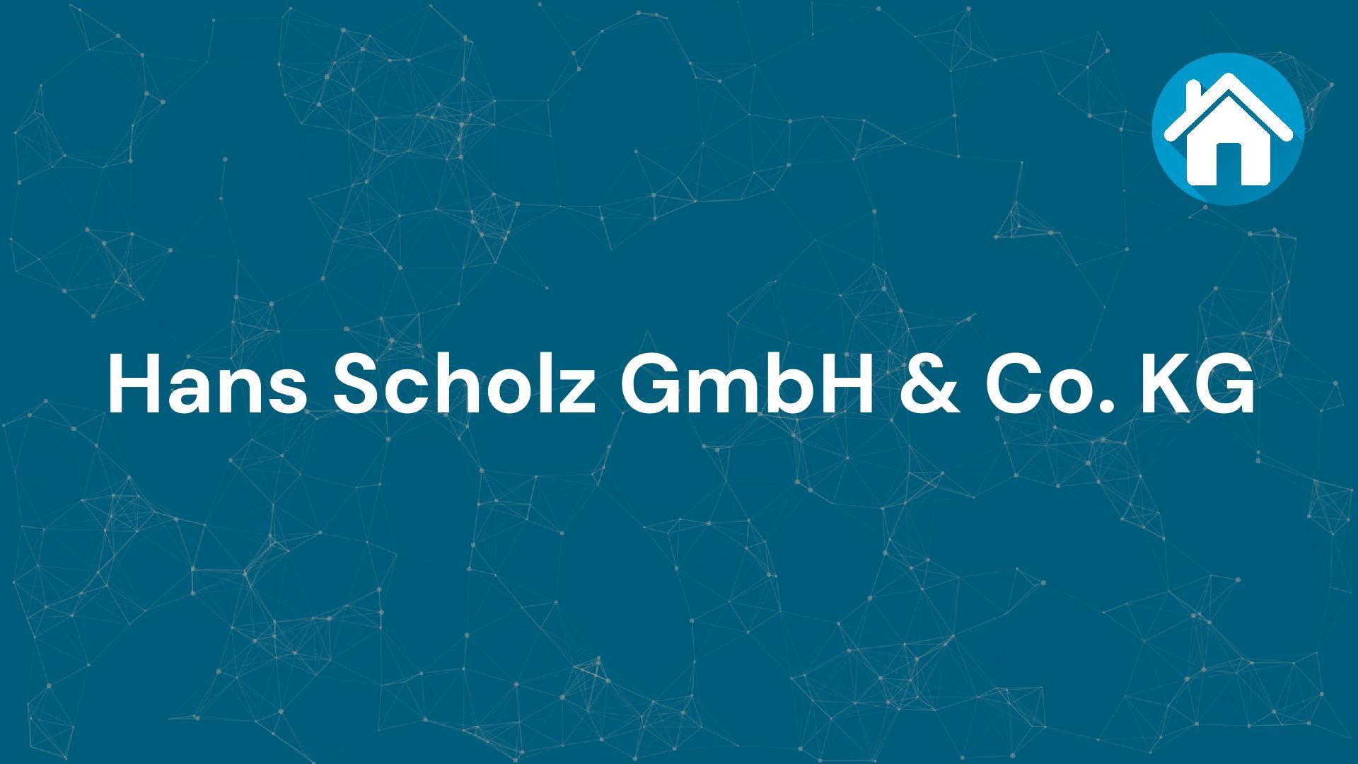 Firma Hans Scholz GmbH & Co. KG