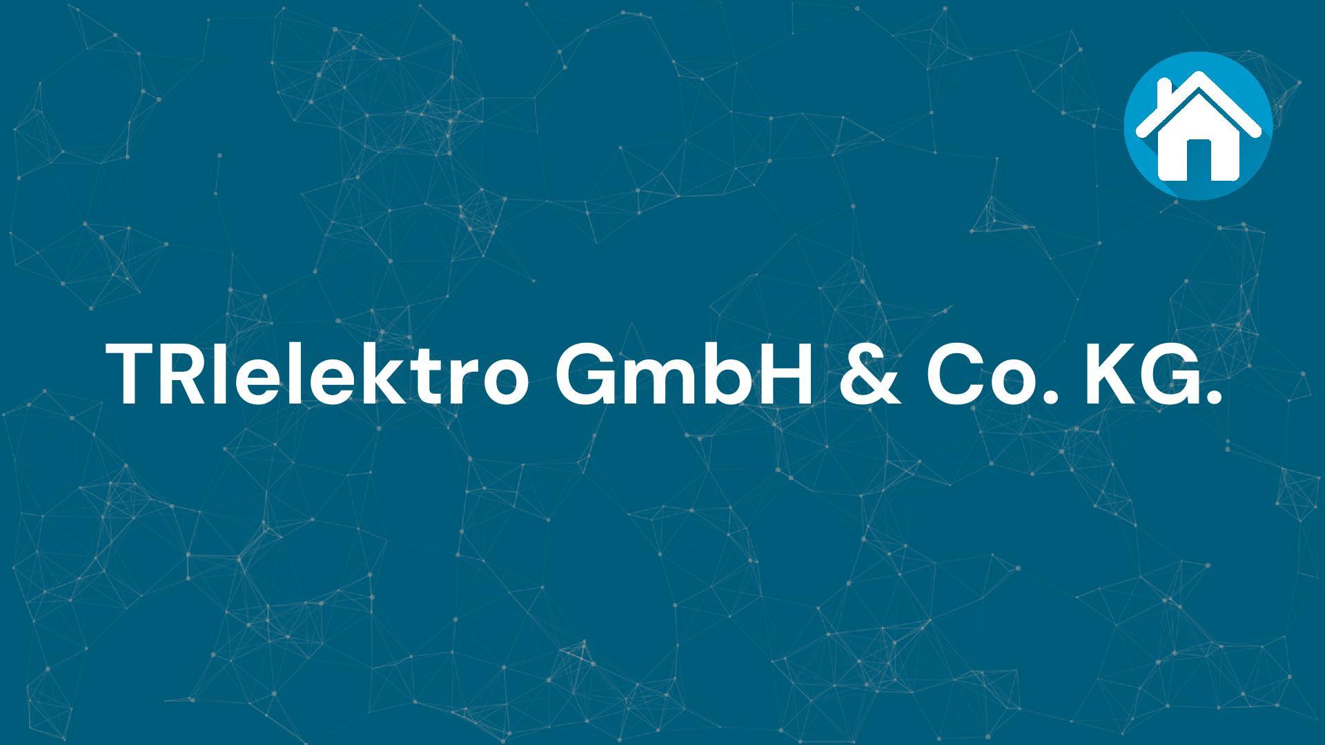 Firma TRIelektro GmbH & Co. KG.