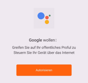 Autorisiere jetzt den Dienst.