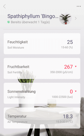 Der Pflanzensensor zeigt dir alle wichtigen Werte übersichtlich an.